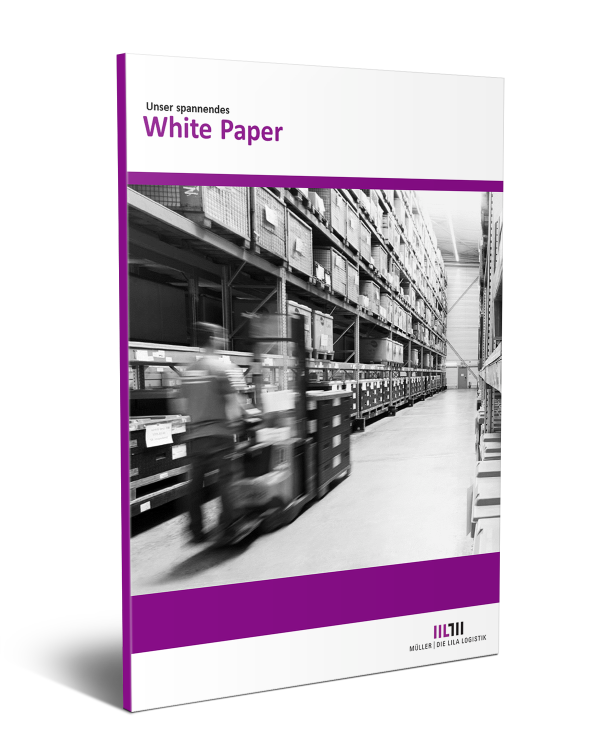 Supply Chain Consulting - White Paper